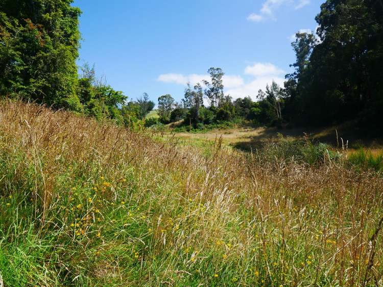 2705 Waikouaiti-Waitati Road Waikouaiti_17