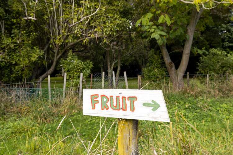 47 Bush Road Tuamarina_12