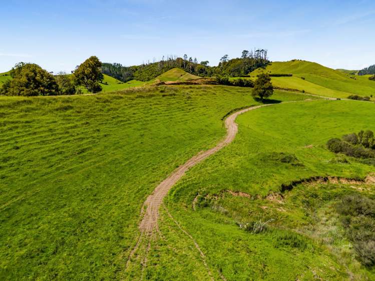 137 Ratapiko Road Ratapiko_23