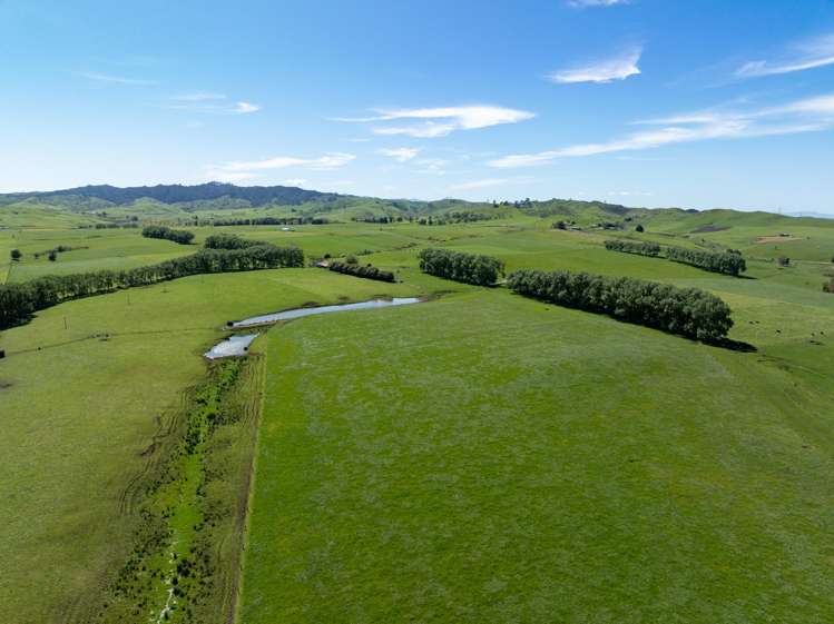 1230 Tauhei Road Morrinsville_23