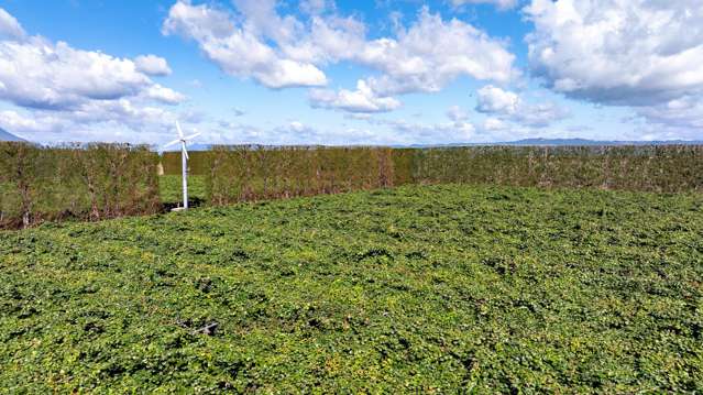 469 Western Drain Road Edgecumbe_1
