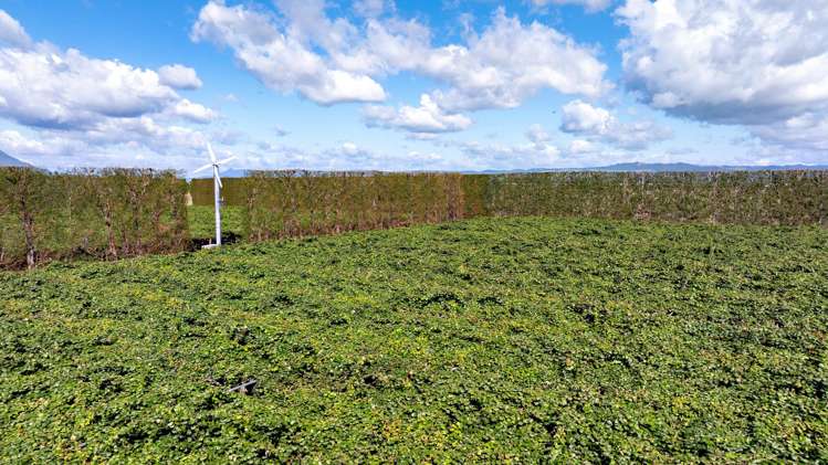469 Western Drain Road Edgecumbe_1