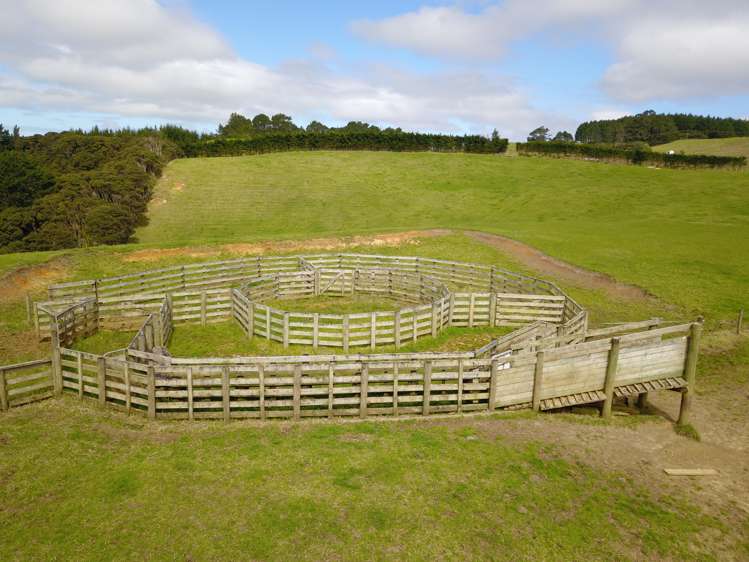 4969 Pouto Road Pouto_13