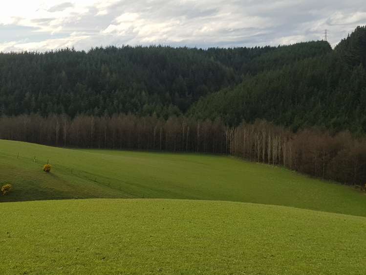 Hillend Road Balclutha_11