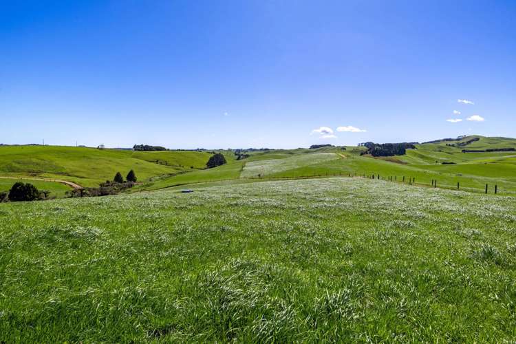 44 Te Papatapu Road Raglan_5