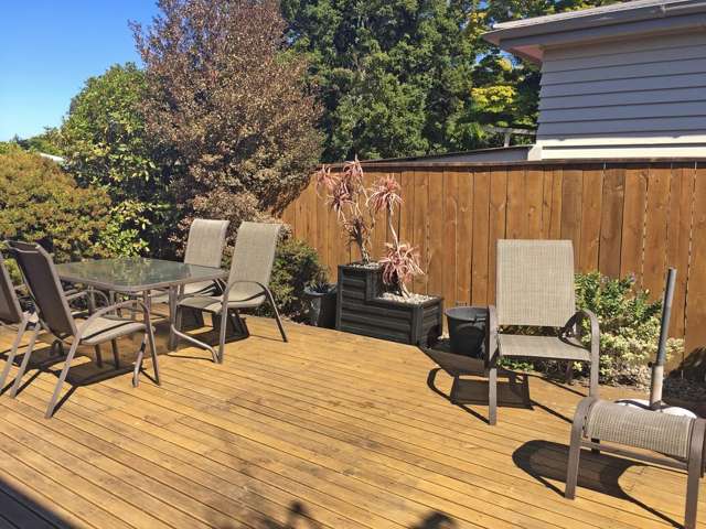 8B Trewin Street 10643_1