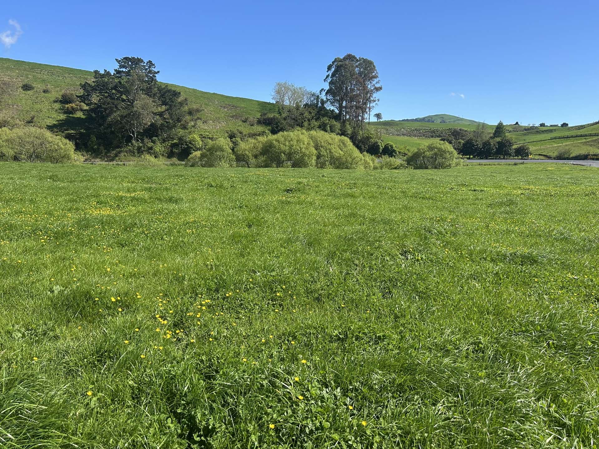 Lot 1, 51 Kiwi Road Pirongia_0