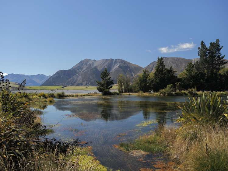 2680 Double Hill Run Road Methven_6