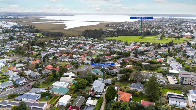 14b Henry Street Avondale_21