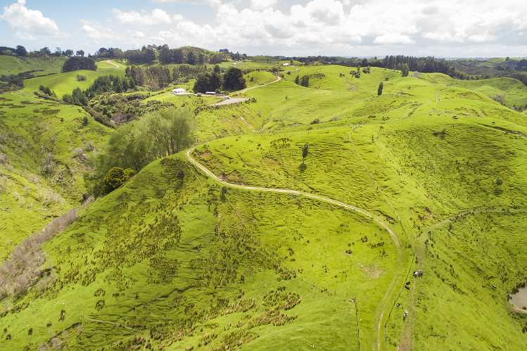 648 Finnis Road Pohangina_9