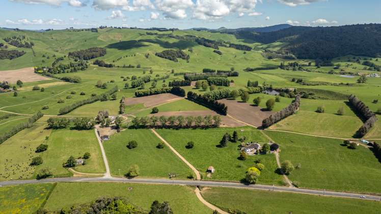 774 Buckland Road Matamata_0