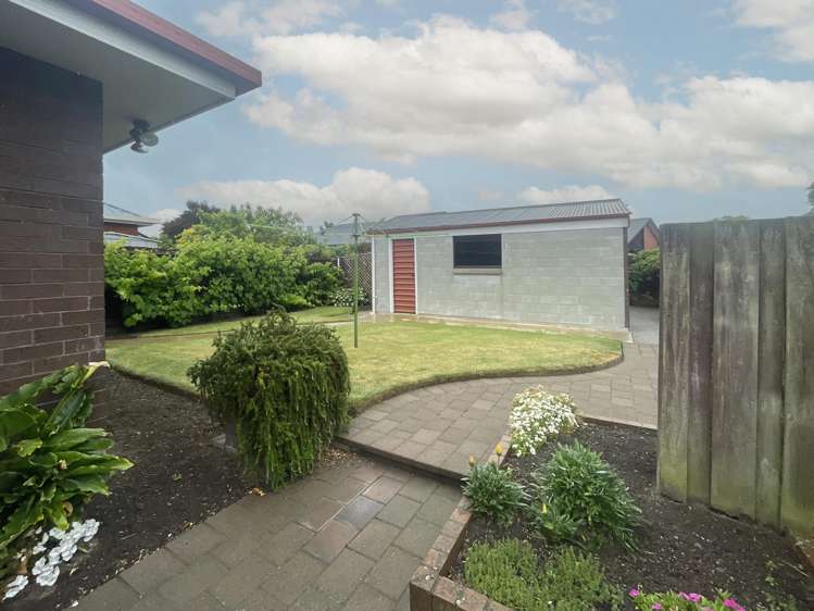 9 Lowry Avenue Redwood_12