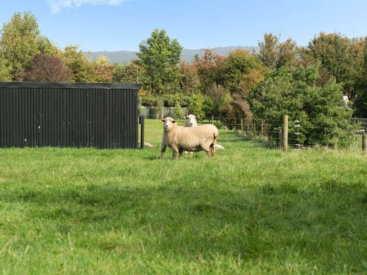 12d Ormsby Lane Kaimai_20