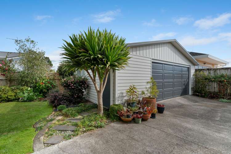33 Heta Road Highlands Park_30