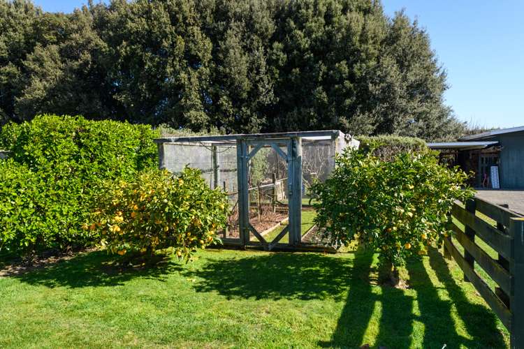 36 Arnott Street Feilding_18