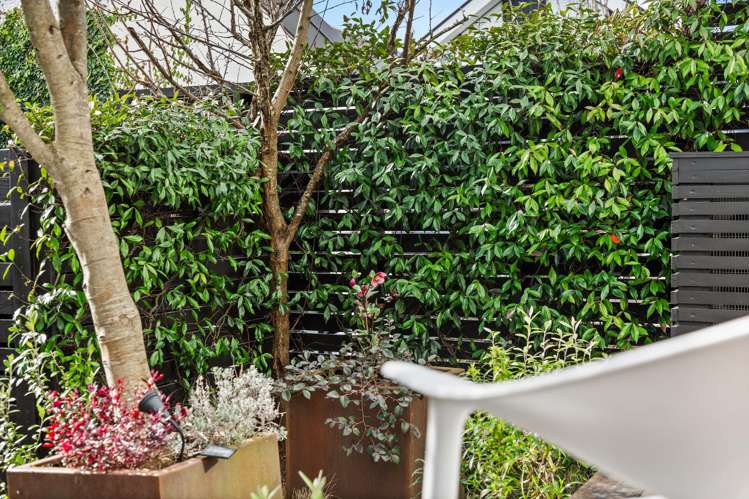 136 Buckley Avenue Hobsonville Point_28