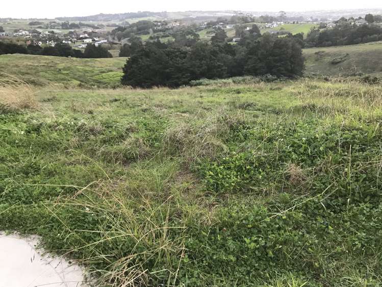 9 Kitenga Road Flat Bush_4