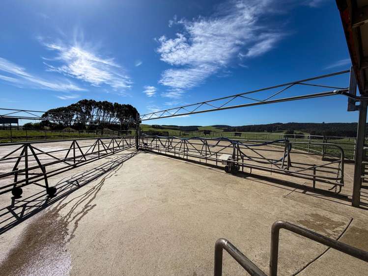 696 Jacks Hill Road Waimahaka_13