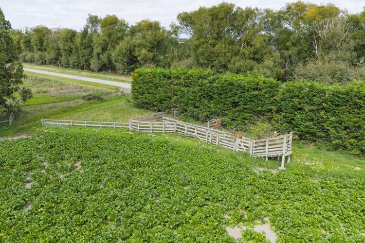 249 Plaskett Road Fernside_33