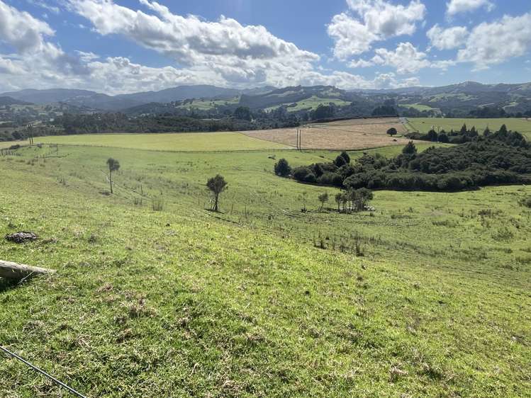 4321 State Highway 1 Mangamuka_21