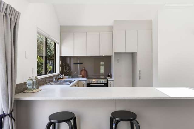 45 Douglas Street Ponsonby_4