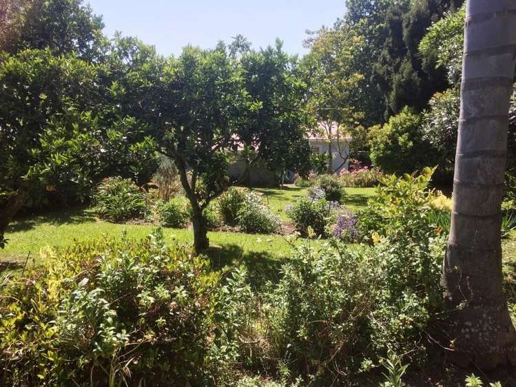 6200 State Highway 1 Moerewa_8