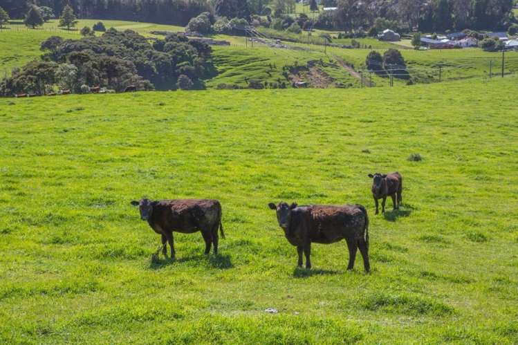 40 Pigeon Bay Road Duvauchelle_12