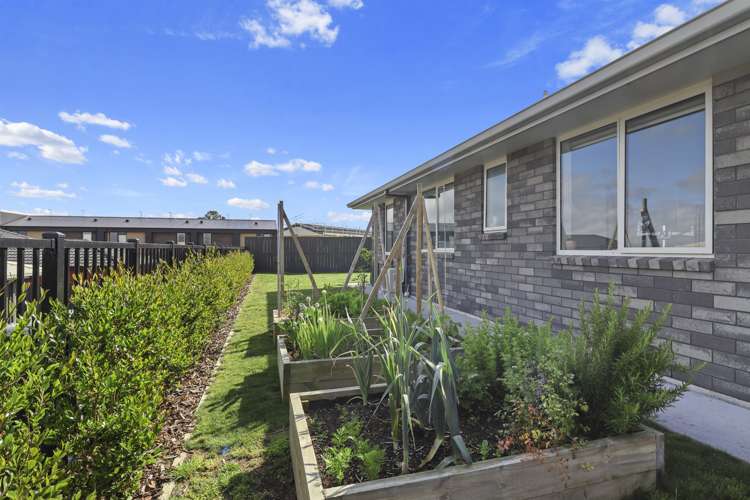 102 Sentinel Avenue Omokoroa_12