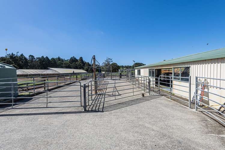 731 Puhipuhi Road Whakapara_10