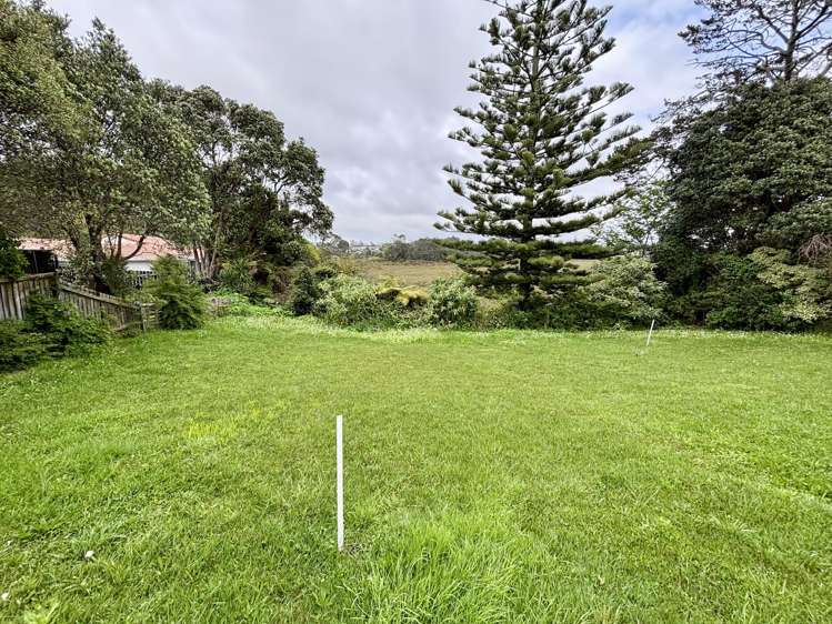 48 Fairlands Avenue Waterview_31