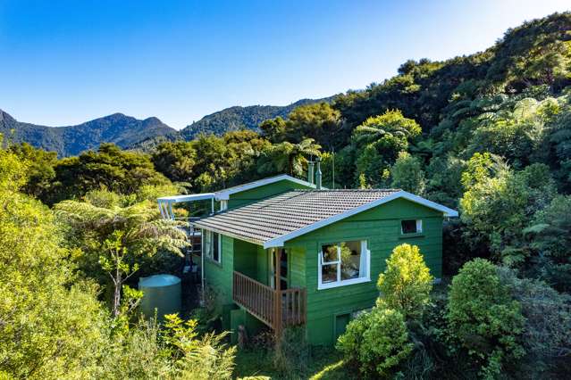 Lot 1/- Miro Bay Pelorus Sounds_2