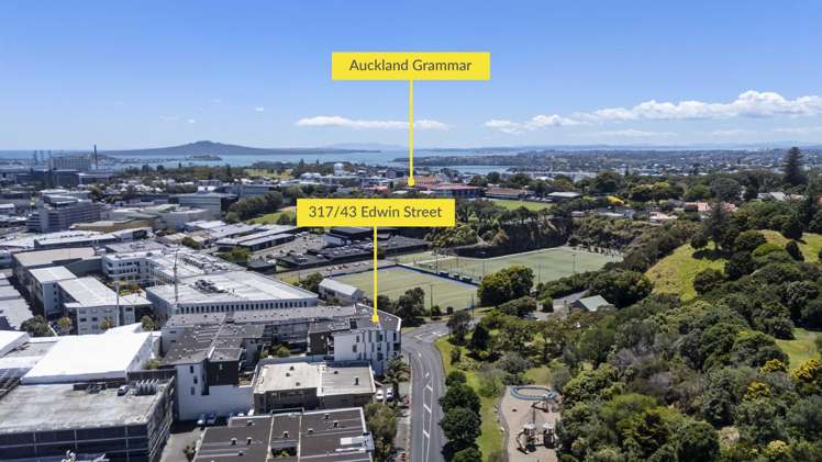 317/43 Edwin Street Mount Eden_19