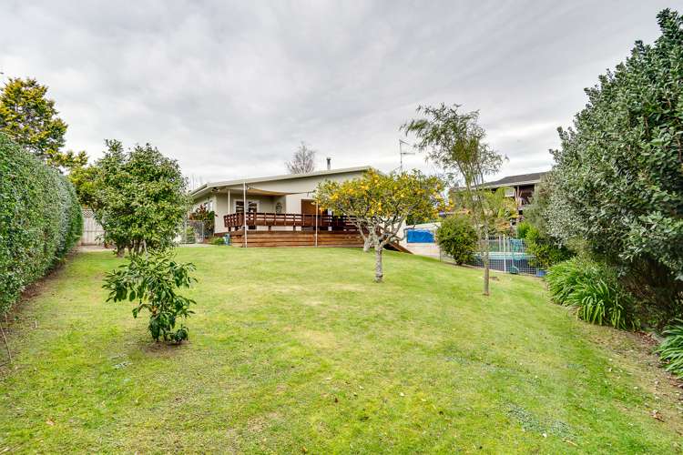 128 Avondale Road Greenmeadows_17