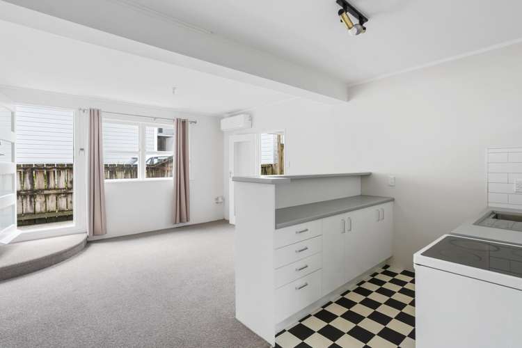 17 Alexander Street Kingsland_13