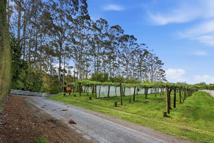 672 No 1 Road Te Puke_33