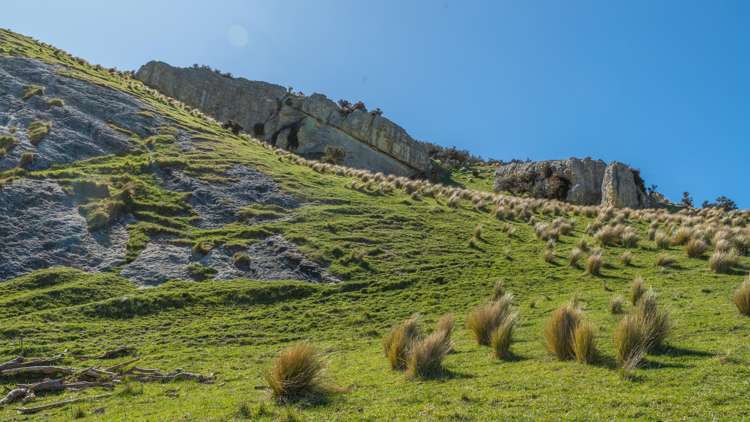554 Waikari Valley Road Scargill_21