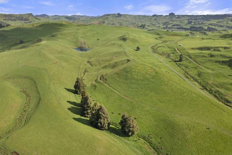 Mangatea Road Te Kuiti_18