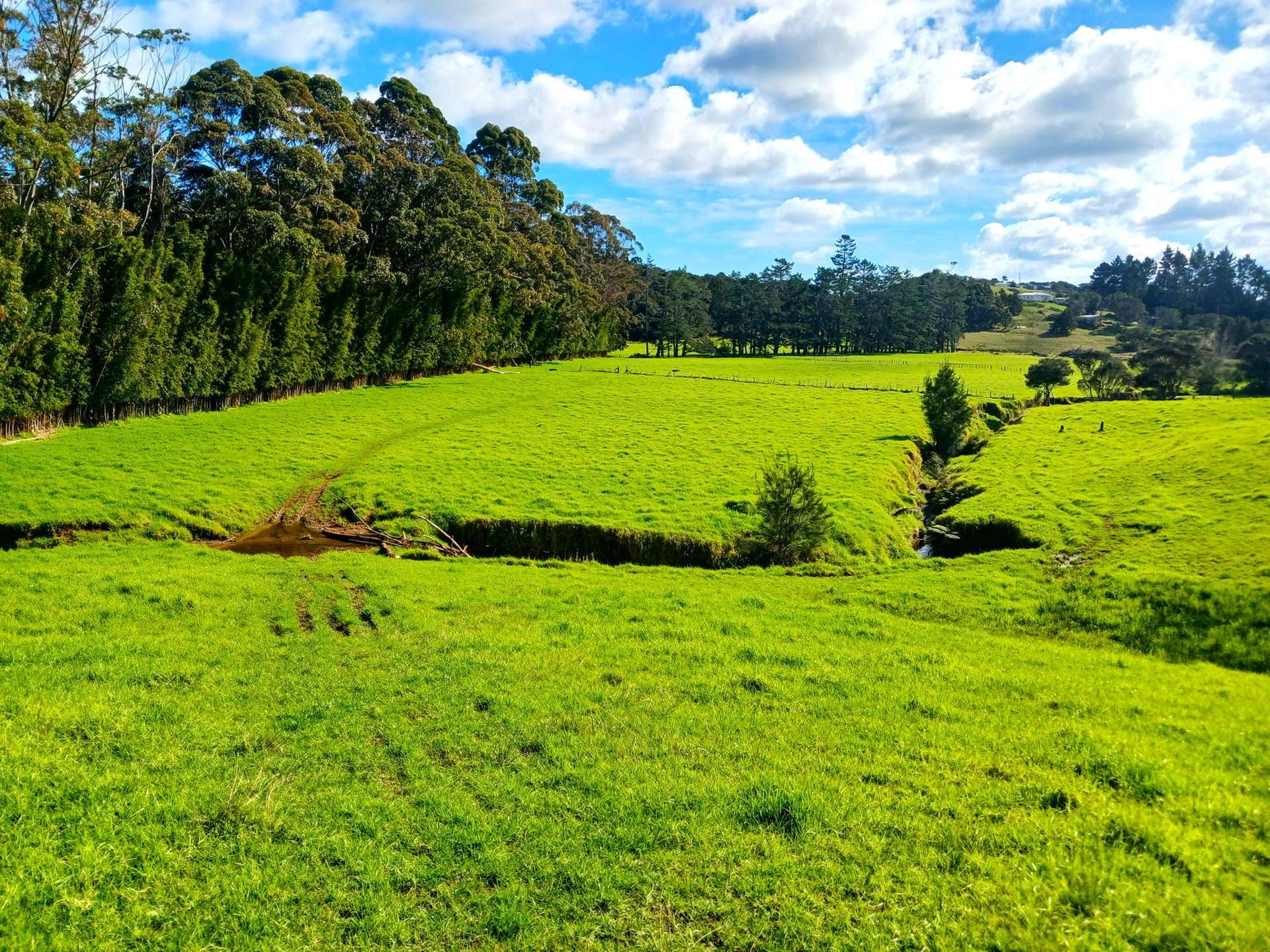 Larmer Road Kaitaia_0