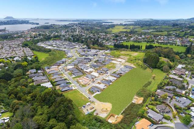 Lot 90 Hass Drive Ohauiti_4