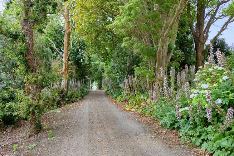 260b Bain Road Ruawaro_23