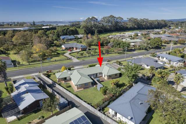 8b Wills Road Katikati_2