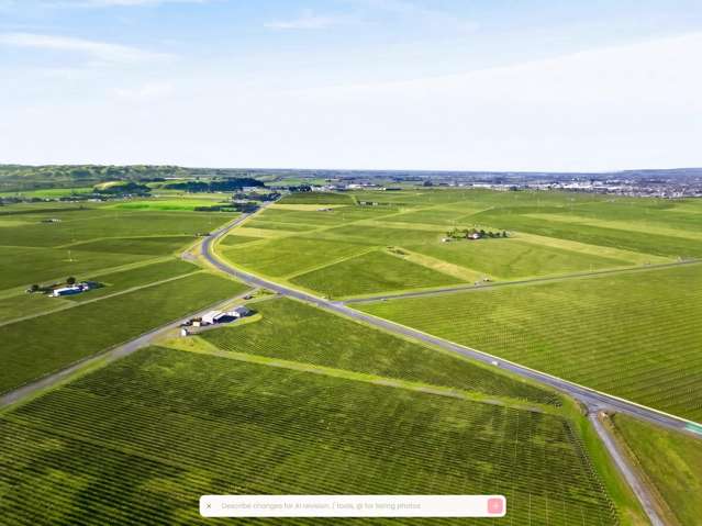 2290 State Highway 50 Roys Hill_3