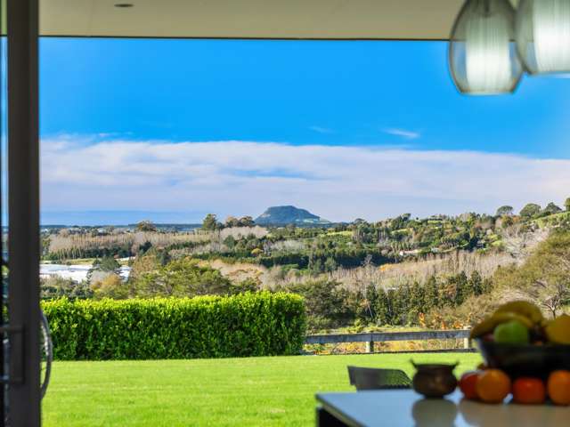 Space, views, and family flexibility