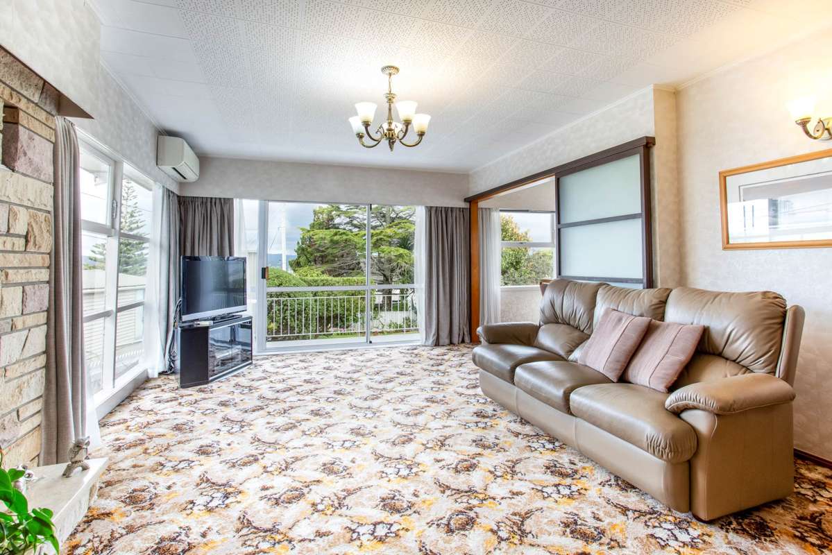 45 Peter Buck Road_1