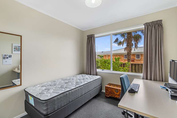 31 Poaka Avenue Dinsdale_10