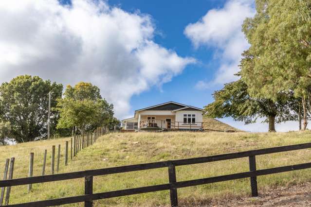334 Ormondville Te Uri Road Dannevirke_4