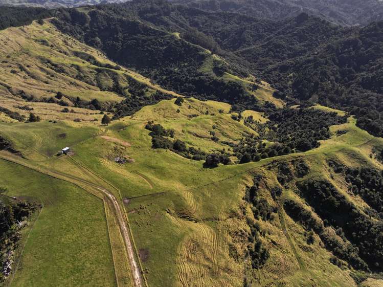 77 Remiger Road Puhoi_18