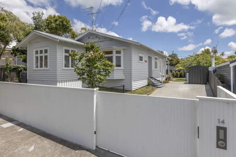 14 Oliver Street Point Chevalier_16