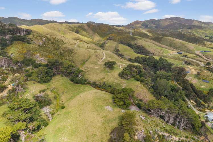474C Makara Road Makara_19