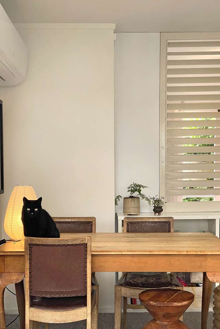 81b Western Springs Road Morningside_5